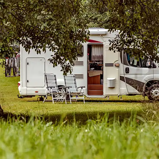 Wohnmobil steht idyllisch unter schattigen Bäumen auf einem Naturcampingplatz, umgeben von Grün und friedlicher Atmosphäre – perfekt für Camping und Reisen in der Natur.